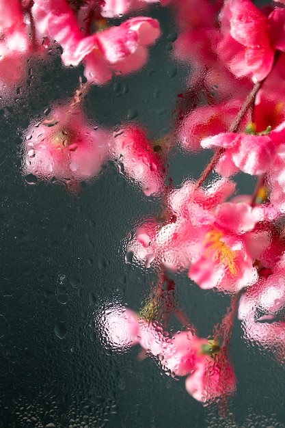 Hermosas flores vistas detrás del vidrio de humedad