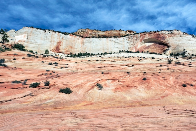 Hermosas laderas del cañón de Zion. Utah. ESTADOS UNIDOS.