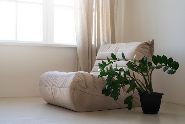 Hermosas y modernas plantas deco.