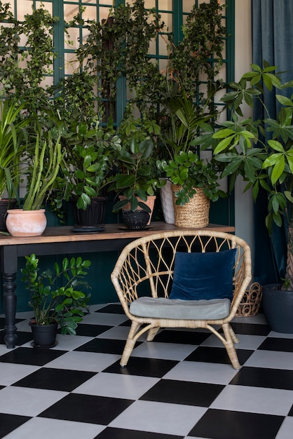 Foto gratuita hermosas y modernas plantas deco.