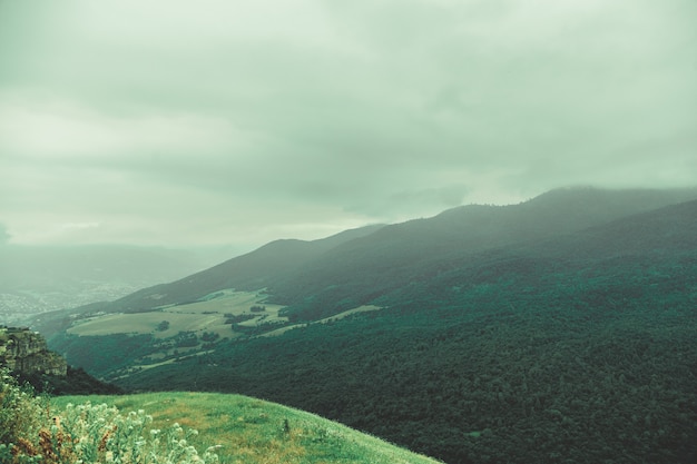 Foto gratuita hermosas montañas en un día brumoso