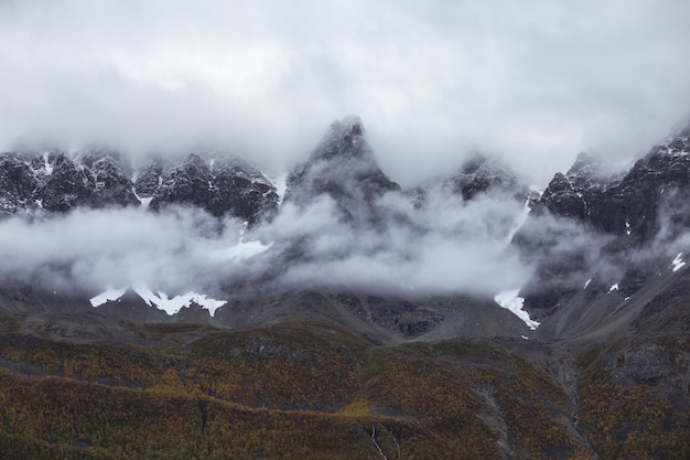 Hermosas montañas rocosas envueltas en niebla temprano en la mañana