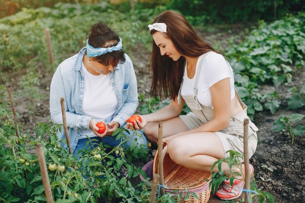 Hermosas mujeres trabaja en un jardín.