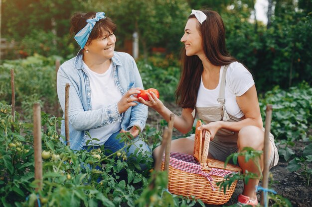 Hermosas mujeres trabaja en un jardín.