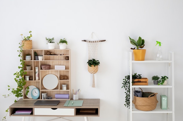 Hermosas plantas de alto ángulo en casa