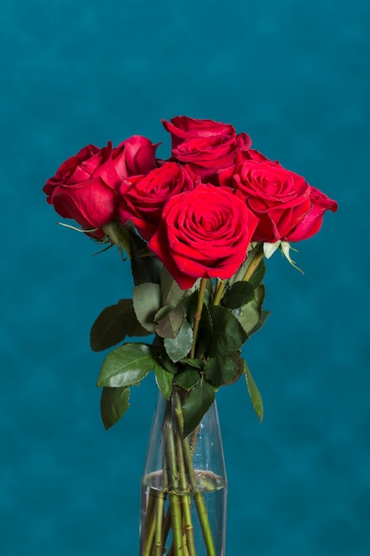 Hermosas rosas en florero delante de la pared azul