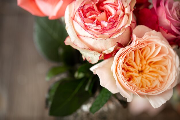 Hermosas rosas frescas de primer plano de diferentes colores, fondo floral.
