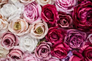 Foto gratuita hermosas rosas rojas y blancas rosadas