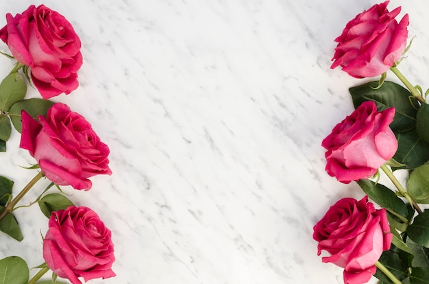 Hermosas rosas rosadas sobre fondo de mármol