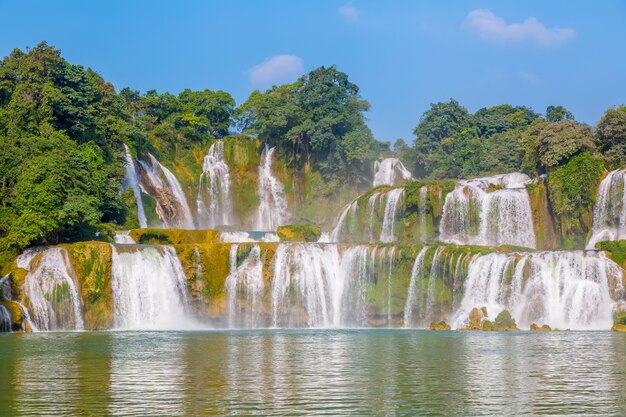 Hermoso agua fresco bosque belleza tropical