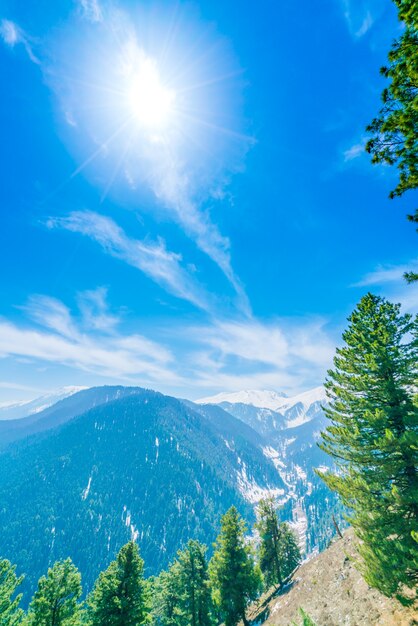 Hermoso árbol y las montañas cubiertas de nieve paisaje Cachemira estado, India