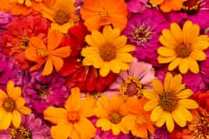 Foto gratuita hermoso arreglo de papel tapiz de flores