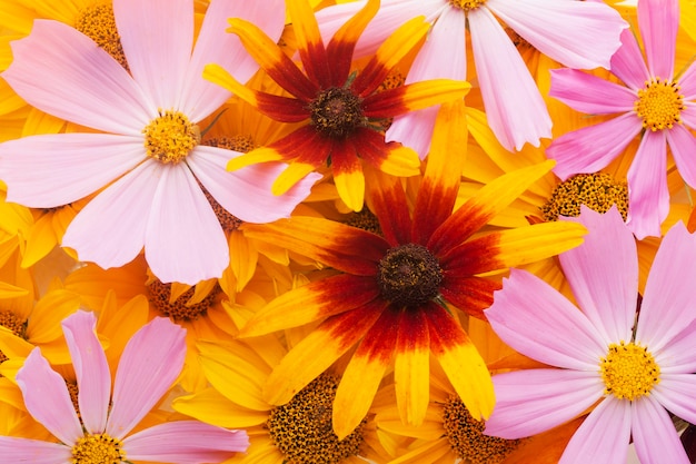 Hermoso arreglo de papel tapiz de flores