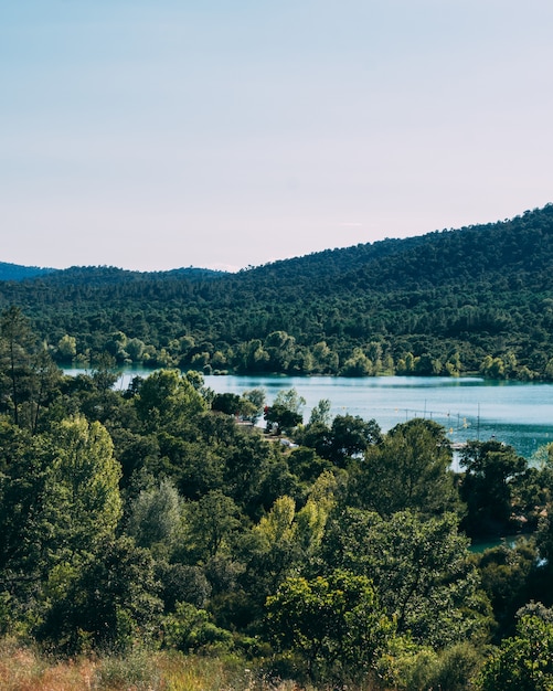 Hermoso bosque con un lago y colinas