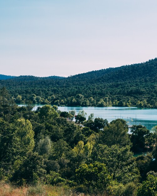 Hermoso bosque con un lago y colinas