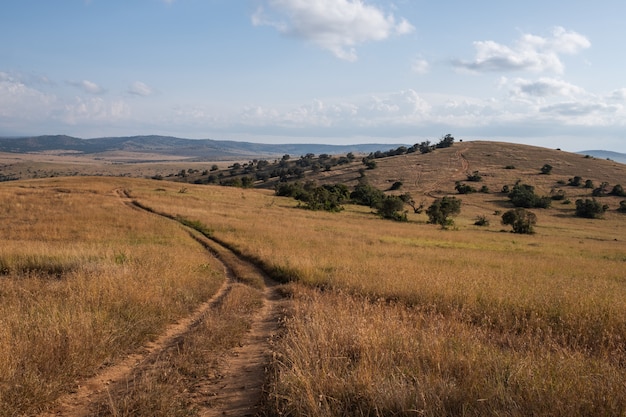 Hermoso camino atravesando los campos bajo el cielo azul en Kenia