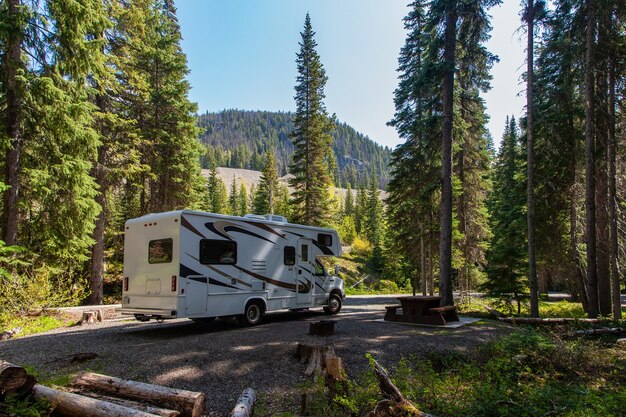 Hermoso camping en las montañas con una casa rodante y un banco de madera.