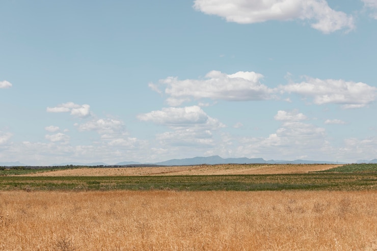 Foto gratuito hermoso campo de heno en el campo