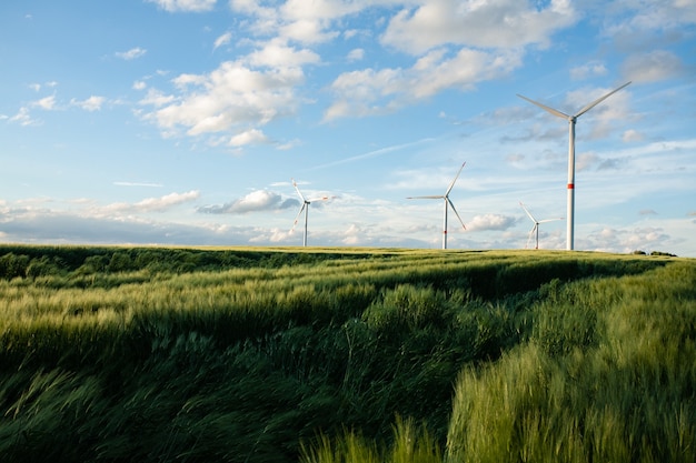 Hermoso campo de hierba con molinos de viento en la distancia bajo un cielo azul