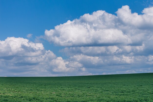 Hermoso campo de hierba verde bajo formaciones de nubes esponjosas