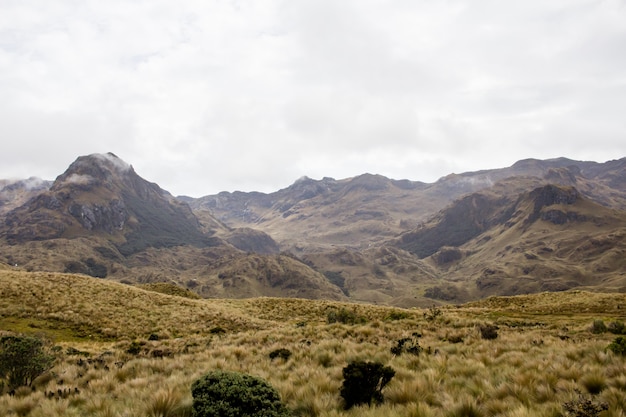 Hermoso campo con increíbles montañas rocosas y colinas y un increíble cielo nublado