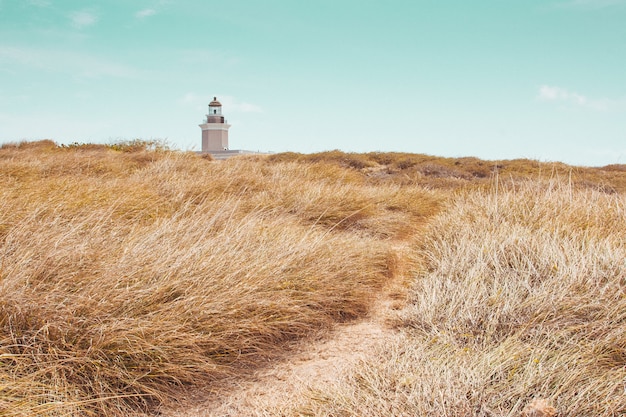 Hermoso campo con vegetación seca y una torre de faro en la distancia bajo un cielo azul