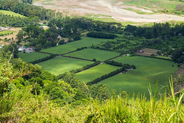 Hermoso campo verde del campo costarricense