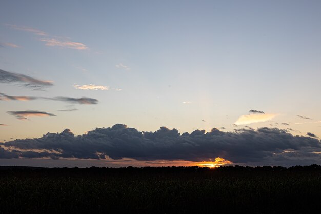 Hermoso cielo al atardecer sobre el campo de maíz