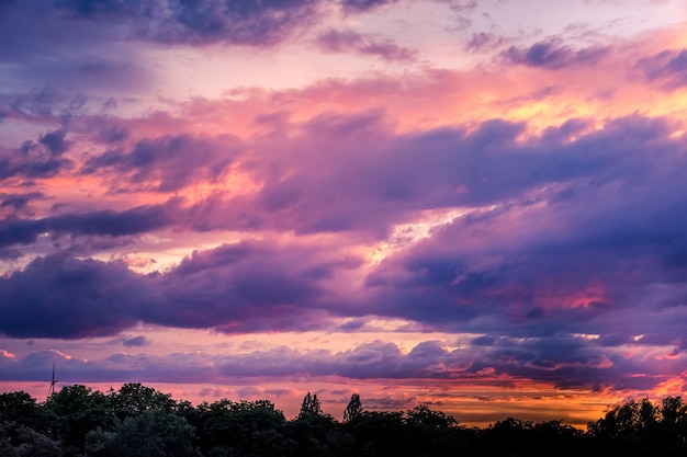 Hermoso cielo al atardecer vivo y paisaje de bosque oscuro