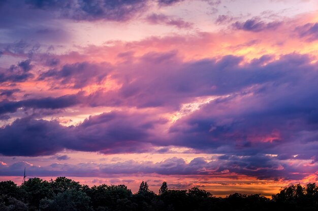 Hermoso cielo al atardecer vivo y paisaje de bosque oscuro