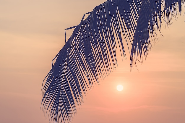 Foto gratuita hermoso cielo playa de la luz del sol