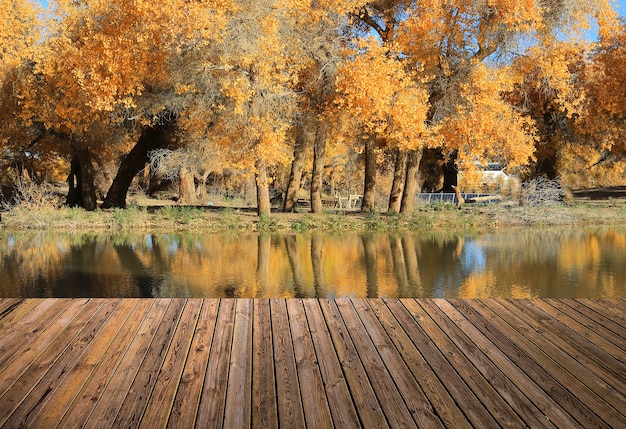 Hermoso cielo y el río con el piso