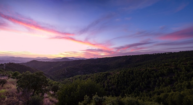 Hermoso cielo en tonos azules con bosque