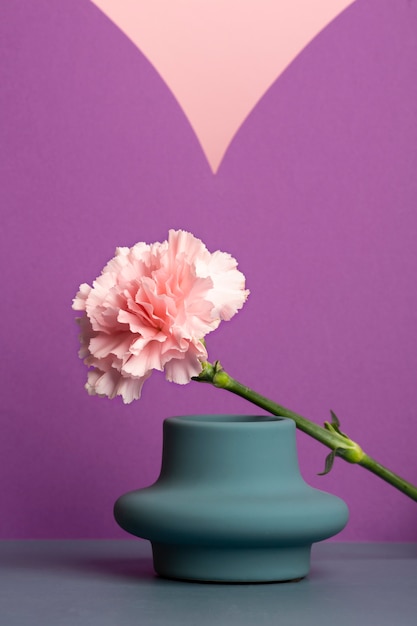 Foto gratuita hermoso clavel con fondo de pantalla de primavera florero