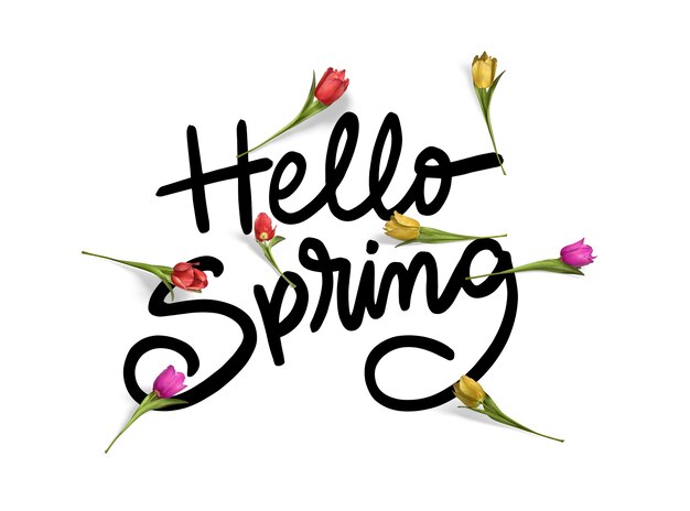 Hermoso collage hola primavera