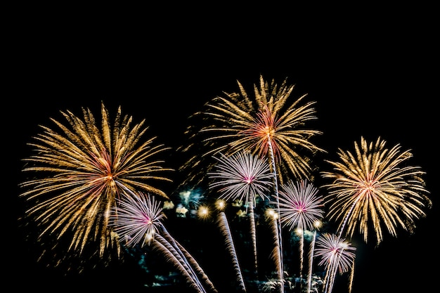 Hermoso colorido espectáculo de fuegos artificiales en la noche para celebrar