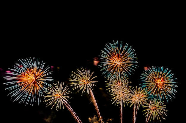 Hermoso colorido espectáculo de fuegos artificiales en la noche para celebrar