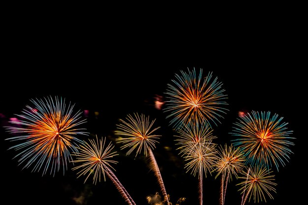 Hermoso colorido espectáculo de fuegos artificiales en la noche para celebrar