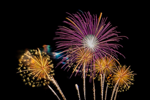 Hermoso colorido espectáculo de fuegos artificiales en la noche para celebrar