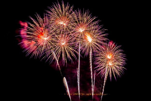 Hermoso colorido espectáculo de fuegos artificiales en la noche para celebrar