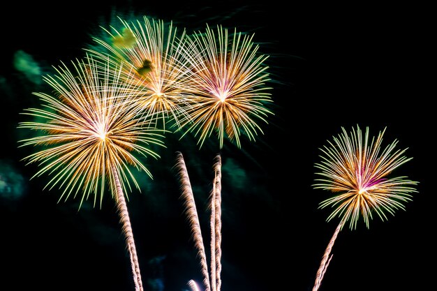 Hermoso colorido espectáculo de fuegos artificiales en la noche para celebrar