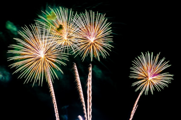 Hermoso colorido espectáculo de fuegos artificiales en la noche para celebrar