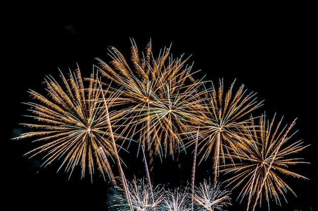 Hermoso colorido espectáculo de fuegos artificiales en la noche para celebrar