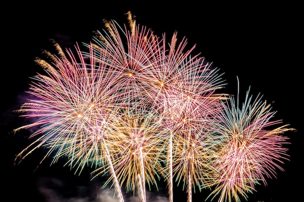 Hermoso colorido espectáculo de fuegos artificiales en la noche para celebrar