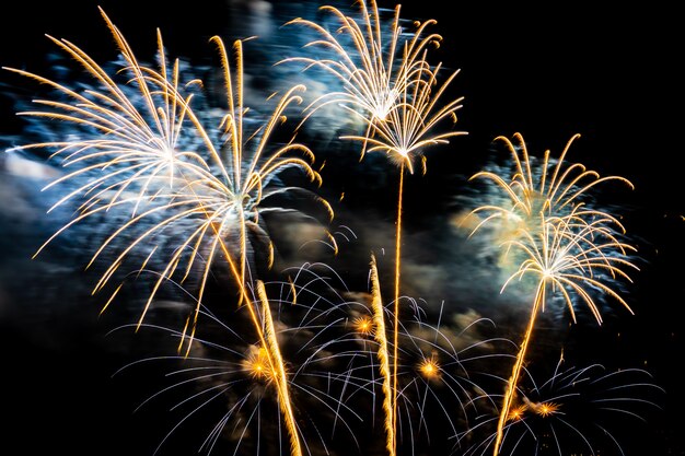 Hermoso colorido espectáculo de fuegos artificiales en la noche para celebrar