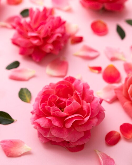 Hermoso concepto floral del día de san valentín