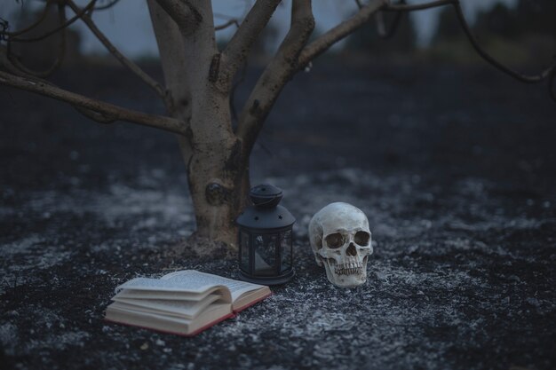 Hermoso concepto de halloween con libros de hechizos y calavera