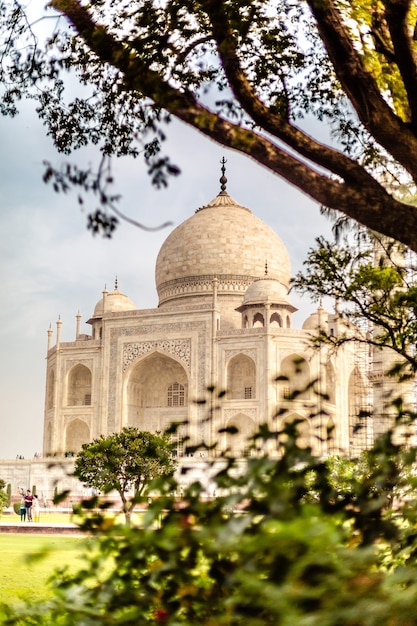 Hermoso disparo vertical del edificio Taj Mahal en Agra, India, con árboles cercanos