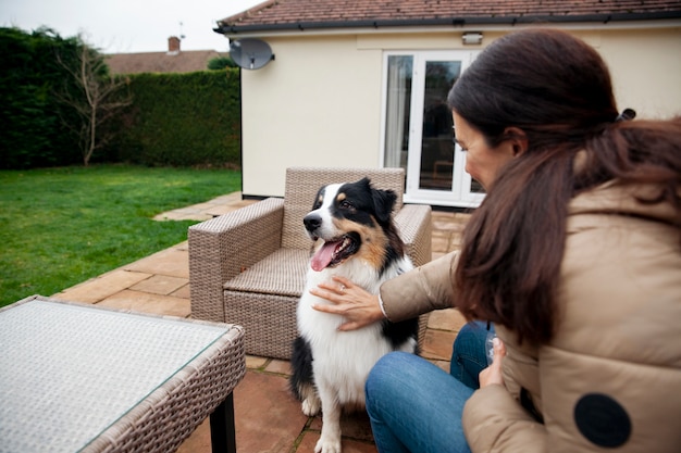 Hermoso entrenamiento de perros border collie con el dueño