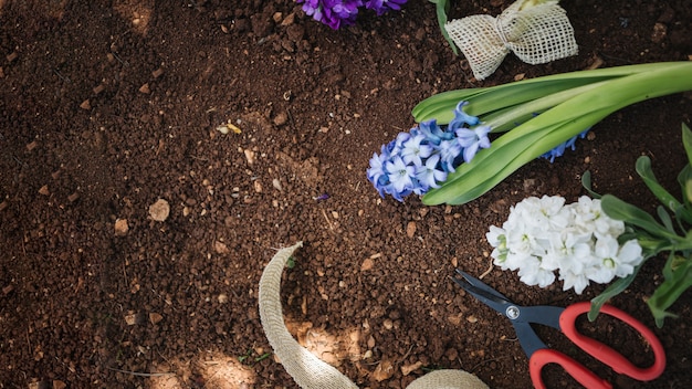 Foto gratuita hermoso fondo para conceptos de jardinería